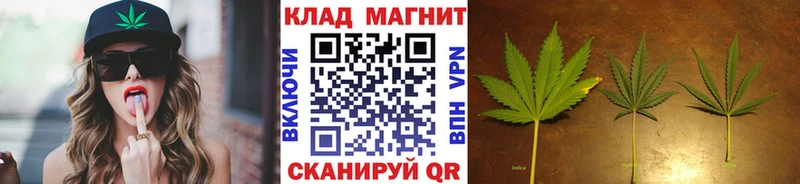 Купить КОКАИН  Псилоцибиновые грибы  МЕФ  Камышин