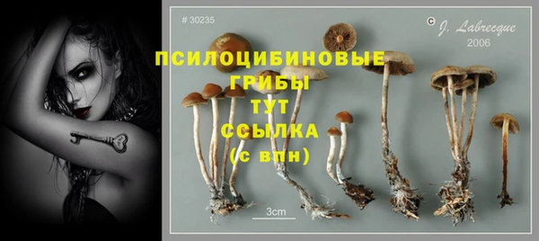 a pvp Киреевск