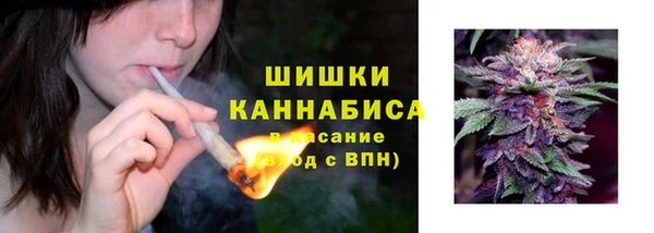 эйфоретик Карпинск